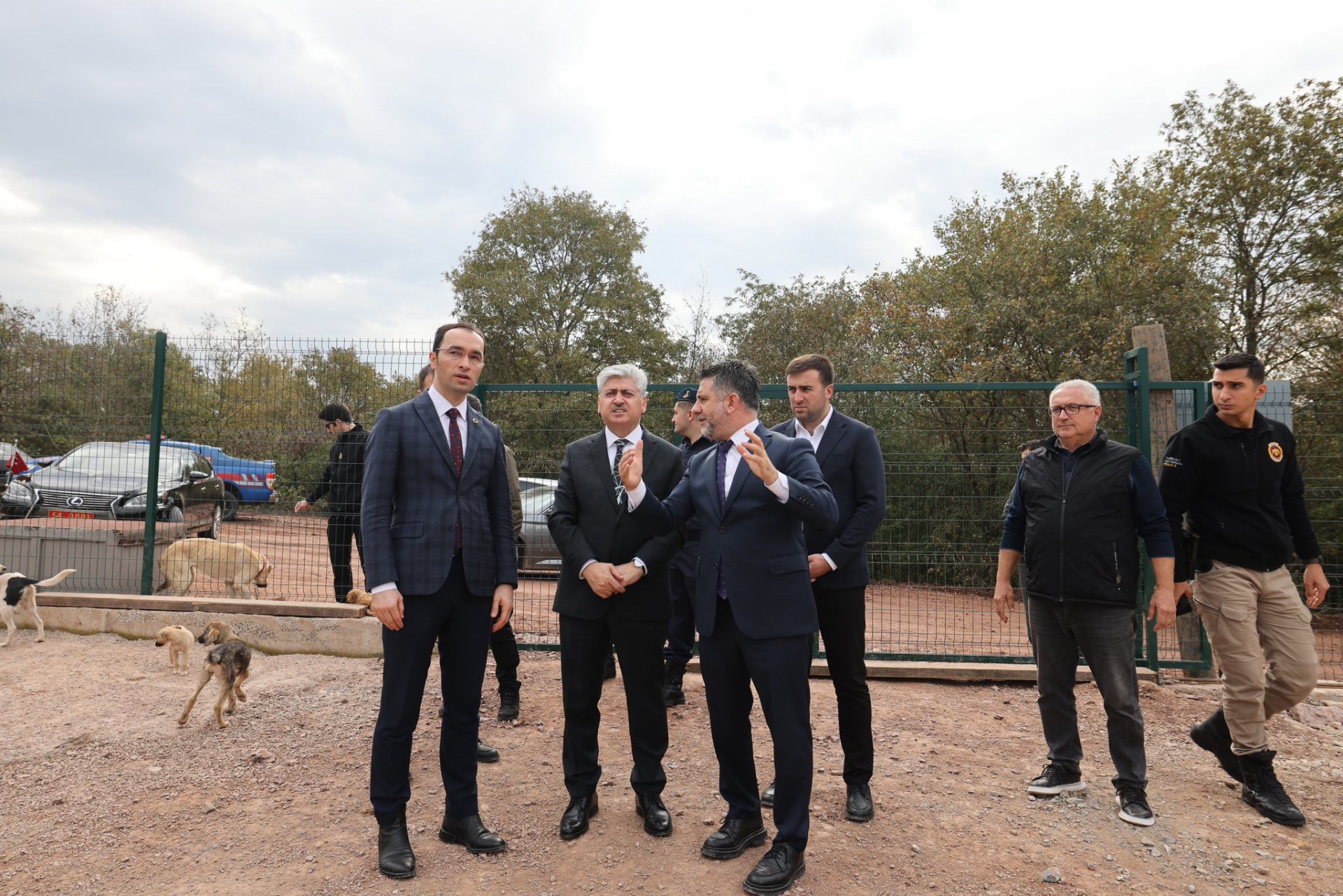 Söğütlü’de Sokak Hayvanları İçin Doğal Yaşam Alanı Projesinde Çalışmalar Sona Yaklaşıyor